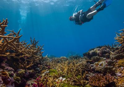 National Marine Sanctuary of American Samoa