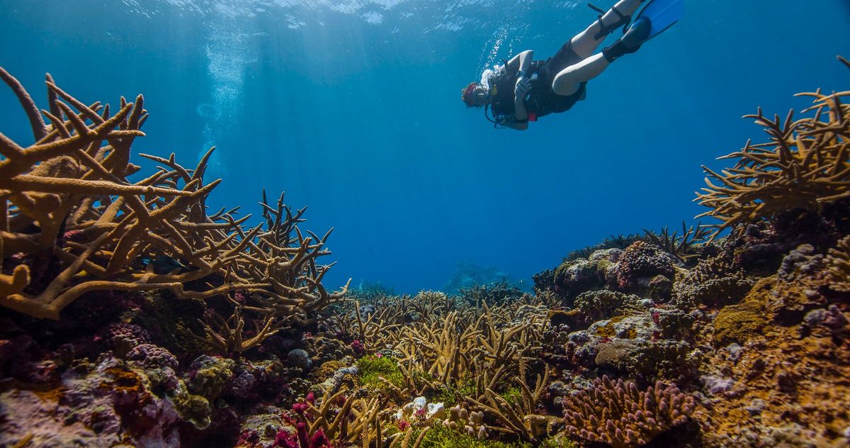 Fagatele Marine Sanctuary