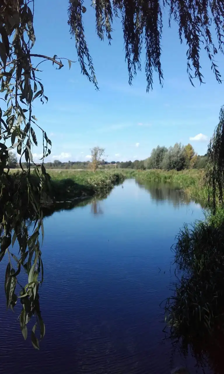 Hotels near Bowthorpe Marsh