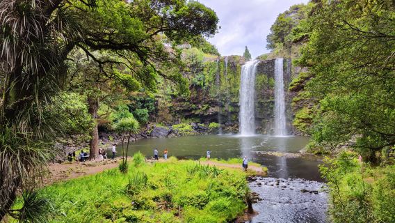 Whangarei Falls