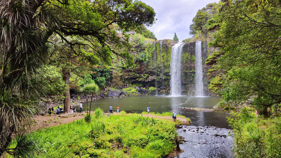 Whangarei Falls