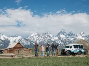Scenic Safaris