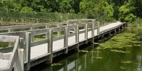 Heron Haven Nature Center