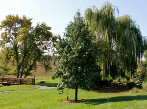 OPPD Arboretum
