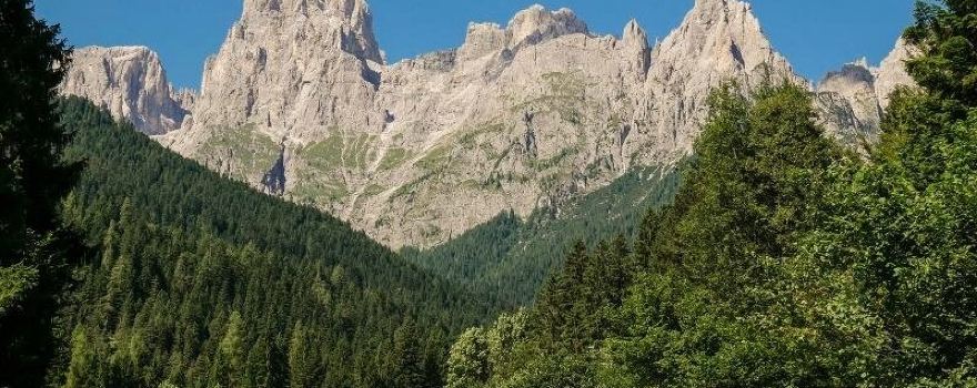 Bellamonte