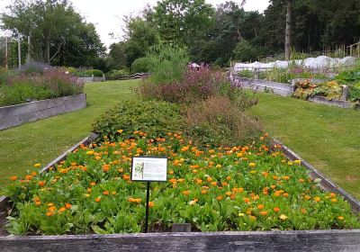 Stavanger Botanical Garden