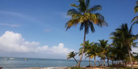 Coroa Vermelha Beach