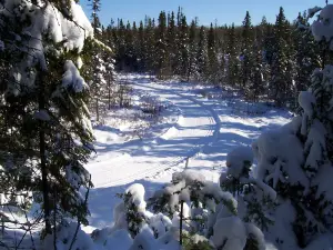 Club de Ski de Fond Le Norvegien