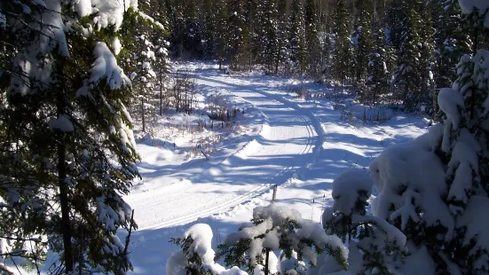 Club de Ski de Fond Le Norvegien