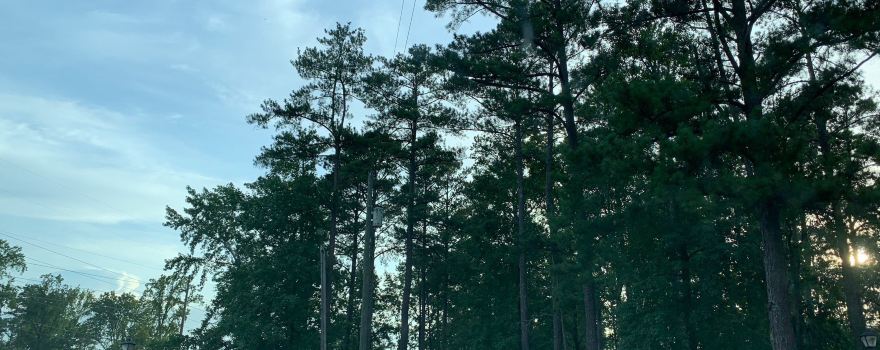 Sparkman Park