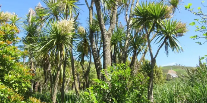 Jardin Botanique de Vauville
