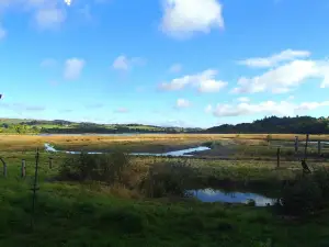RSPB Scotland Lochwinnoch