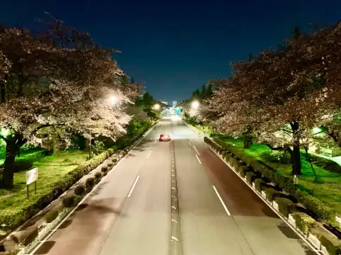 東京女子体育大学・東京女子体育短期大学周辺のホテル