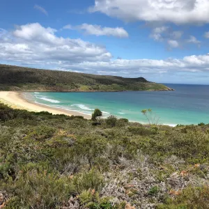 Tasmanian Wilderness Experiences