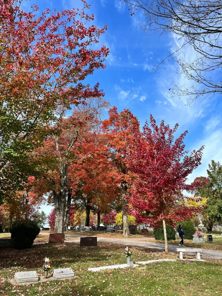 Hotels in North Harrison Township