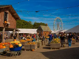 Tulleys Farm