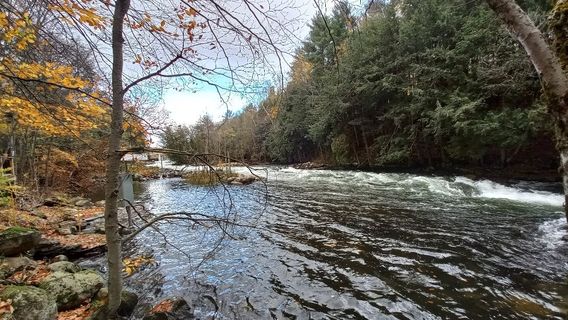 화이트워터 온타리오 / 민든 화이트워터 프리저브 멤버스 온리 캠프그라운드 앤드 공원
