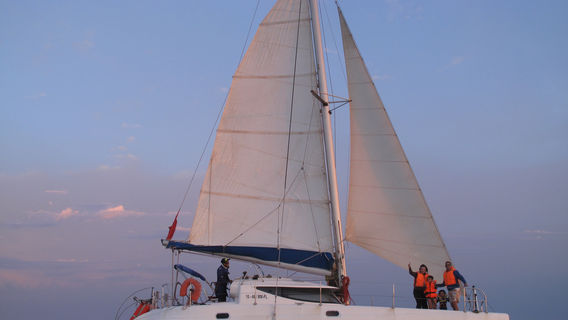 Sahara Sailing