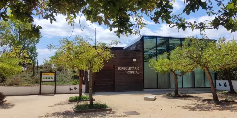 Borboletário Tropical