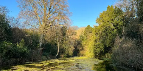 Silent Pool Distillery