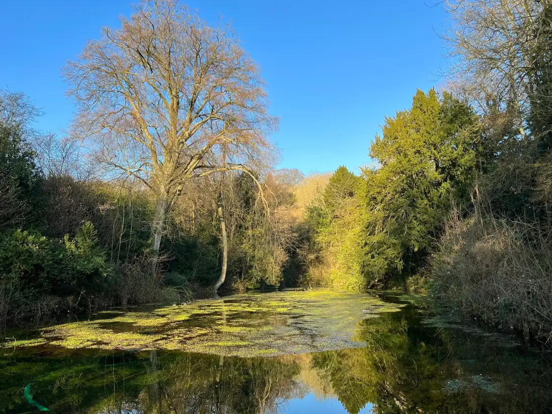 Hotels near Silent Pool Distillers