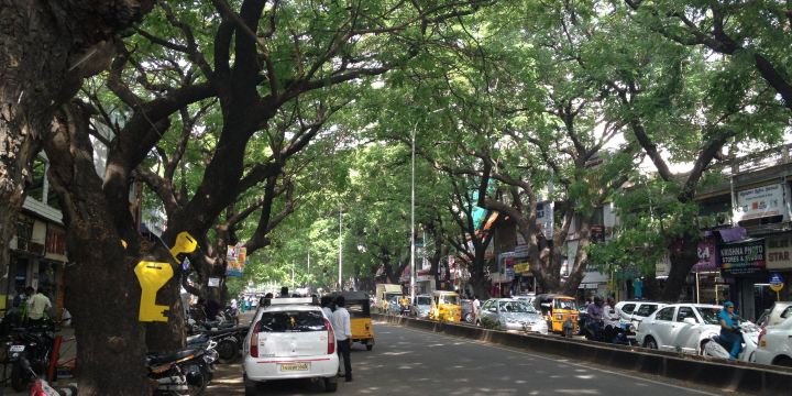 Pondy Bazaar