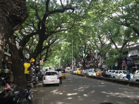 Hotels near Pondy Bazaar