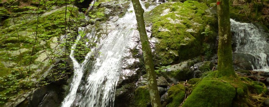 Sentier De La Goutte Des Saules