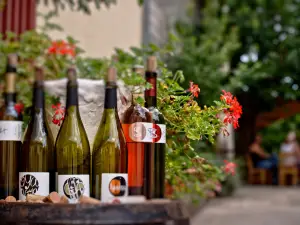 Ante Sladić Vino