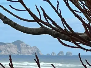 Parque Nacional De Chiloe