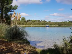 Site d'Arjuzanx
