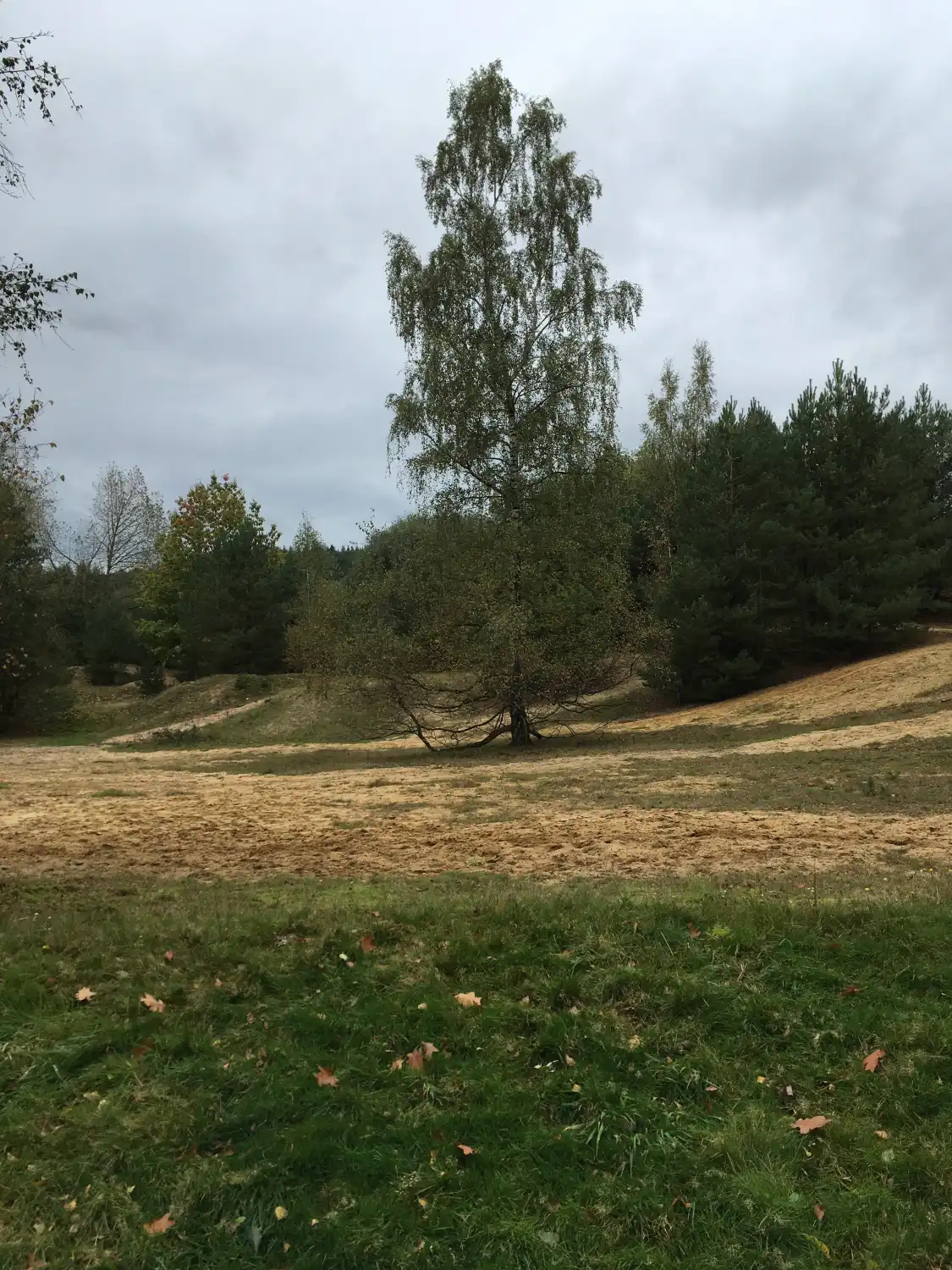 Hotels near Goudsberg