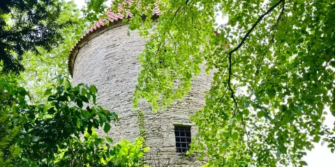 Bentheimer Turm