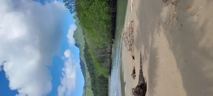 Hotel dekat Pantai Pasir Putih Karanggongso
