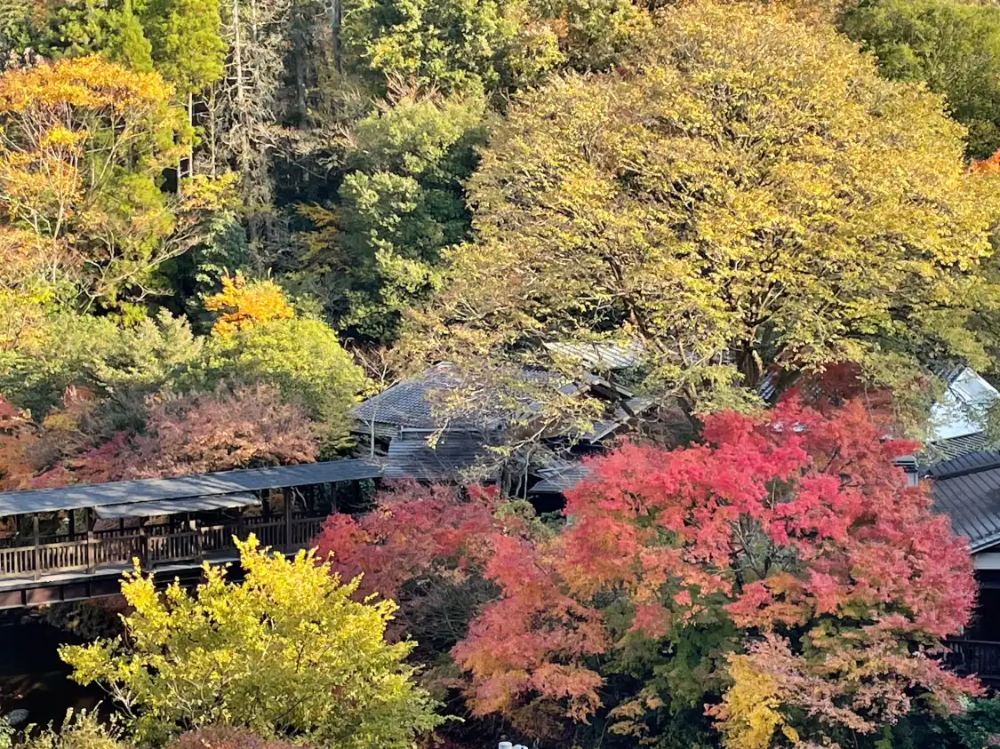 Hotels near Hiranodai Highland Viewing Platform