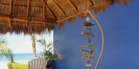 Jane Maroni Organic Designs