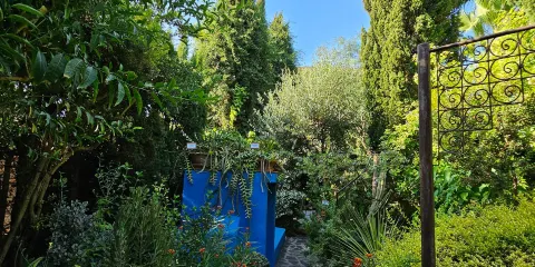 Jardin Botanico La Almunya del Sur