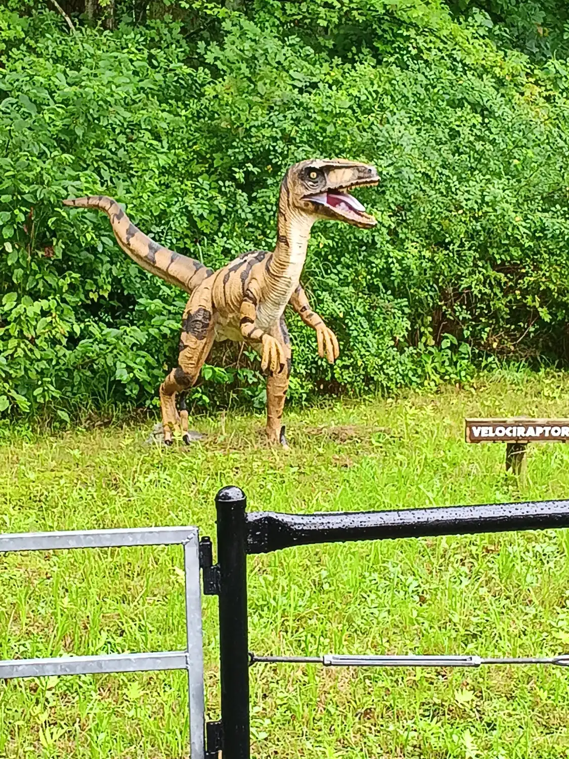 Keystone Safari 주변 호텔