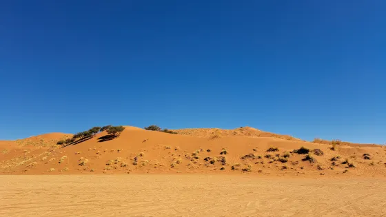 Elim Dunes