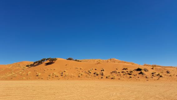 Elim Dune