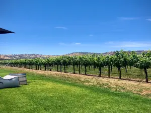Artisans of Barossa