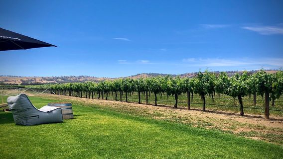 Artisans of Barossa