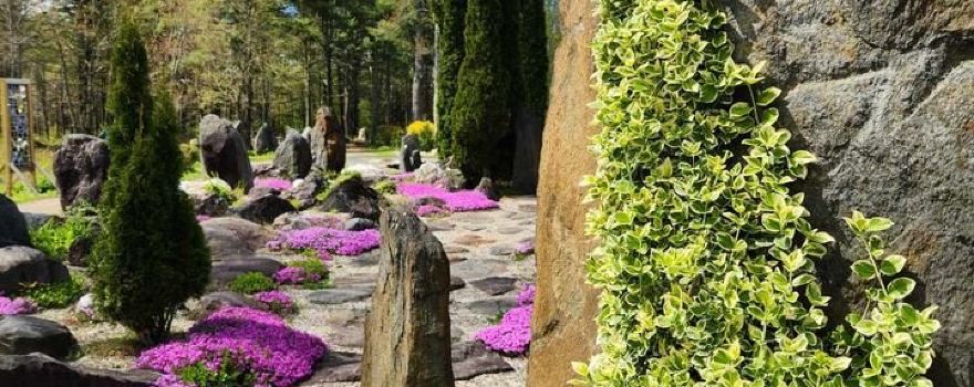 Three Sisters Sanctuary