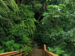 Yajiyagama Cave