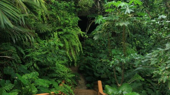 Yajaagama Cave