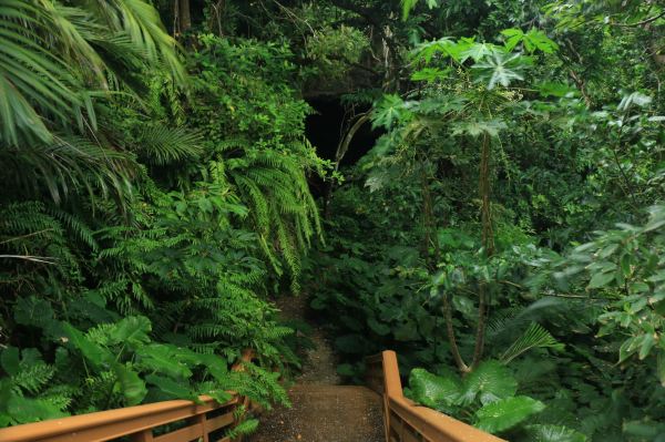 Yajiyagama Cave