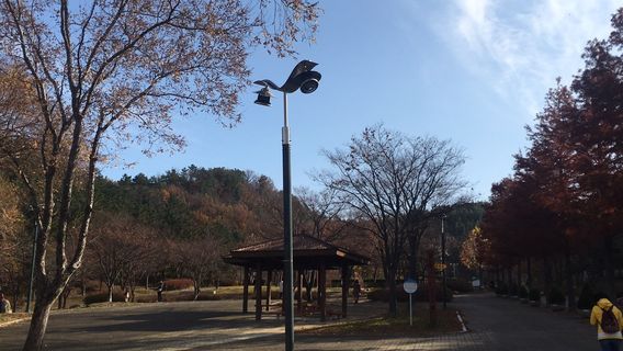 Pohang