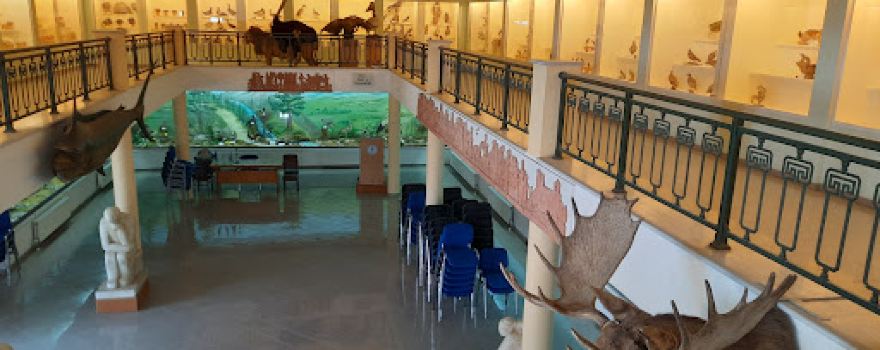 Natural History Museum of Hunting Association Istieas