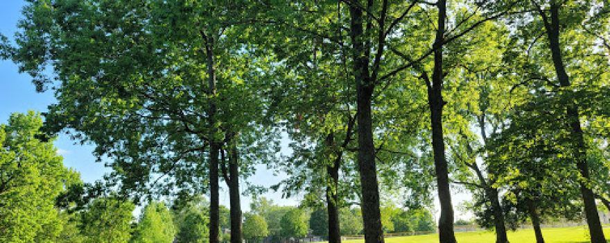 Katy Park