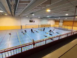 Rognan idrettshall